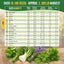 Organo Republic 18 Culinary Herbs Seeds Variety Pack - 10,180+ Heirloom, Non-Gmo, Herbs Seeds