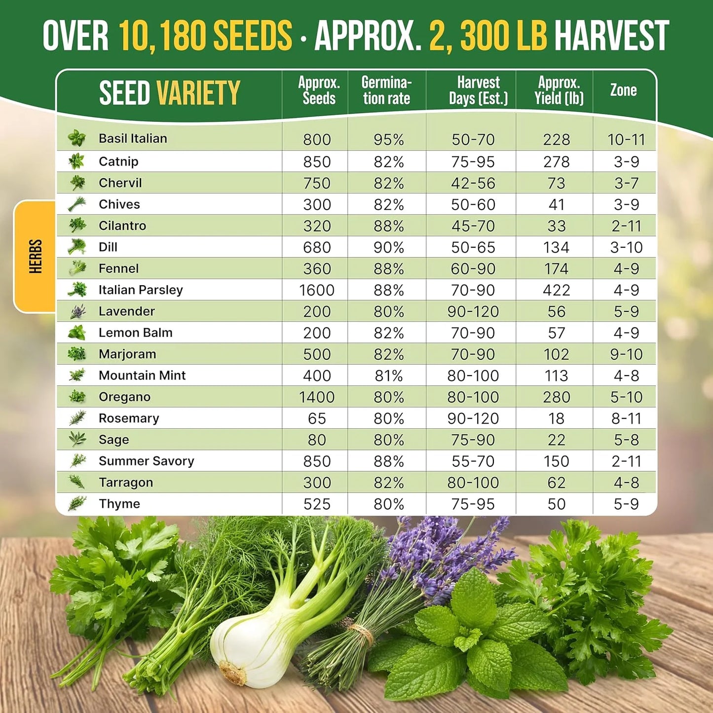 Organo Republic 18 Culinary Herbs Seeds Variety Pack - 10,180+ Heirloom, Non-Gmo, Herbs Seeds