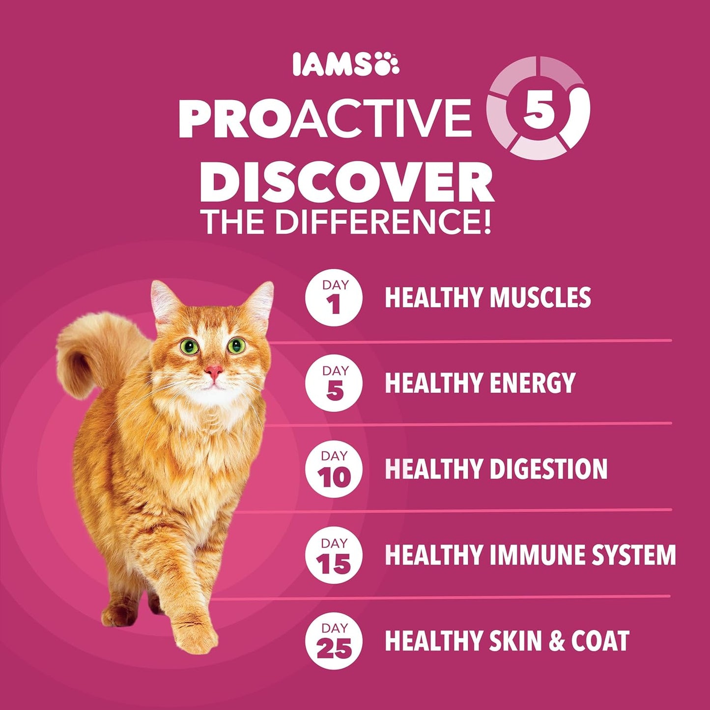 IAMS Proactive Health Dry Cat Food, Urinary Tract Health, Adult Cat Food Dry Recipe with Chicken, 16 Lb. Bag