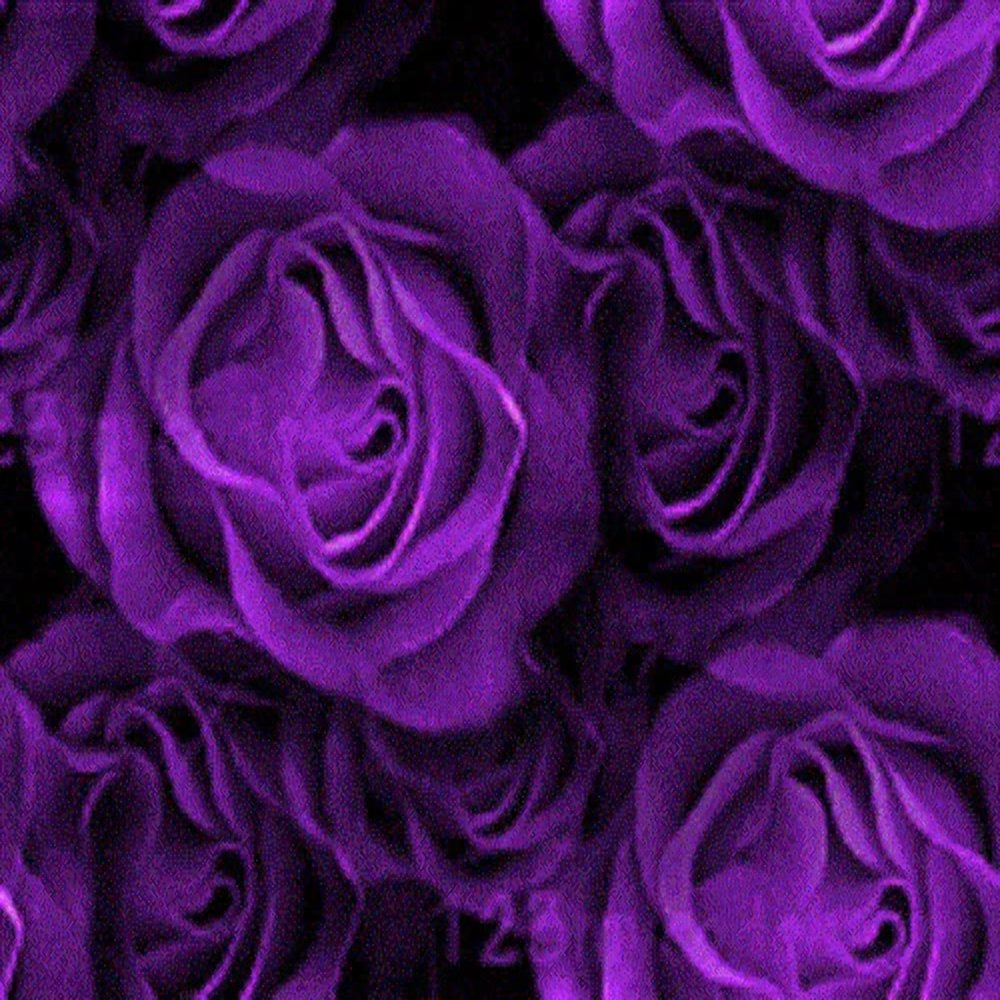 5 * SEEDS * PURPLE ROSE Rosa Floribunda Bush Shrub Perennial Flower Seeds