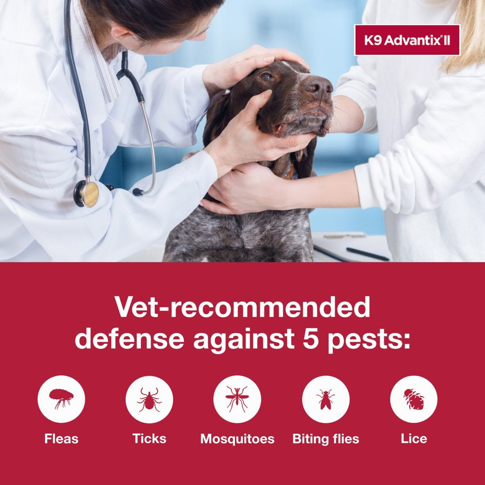 K9 Advantix II Monthly Flea & Tick Prevention for XL Dogs 55 Lbs+, 6-Monthly Treatments