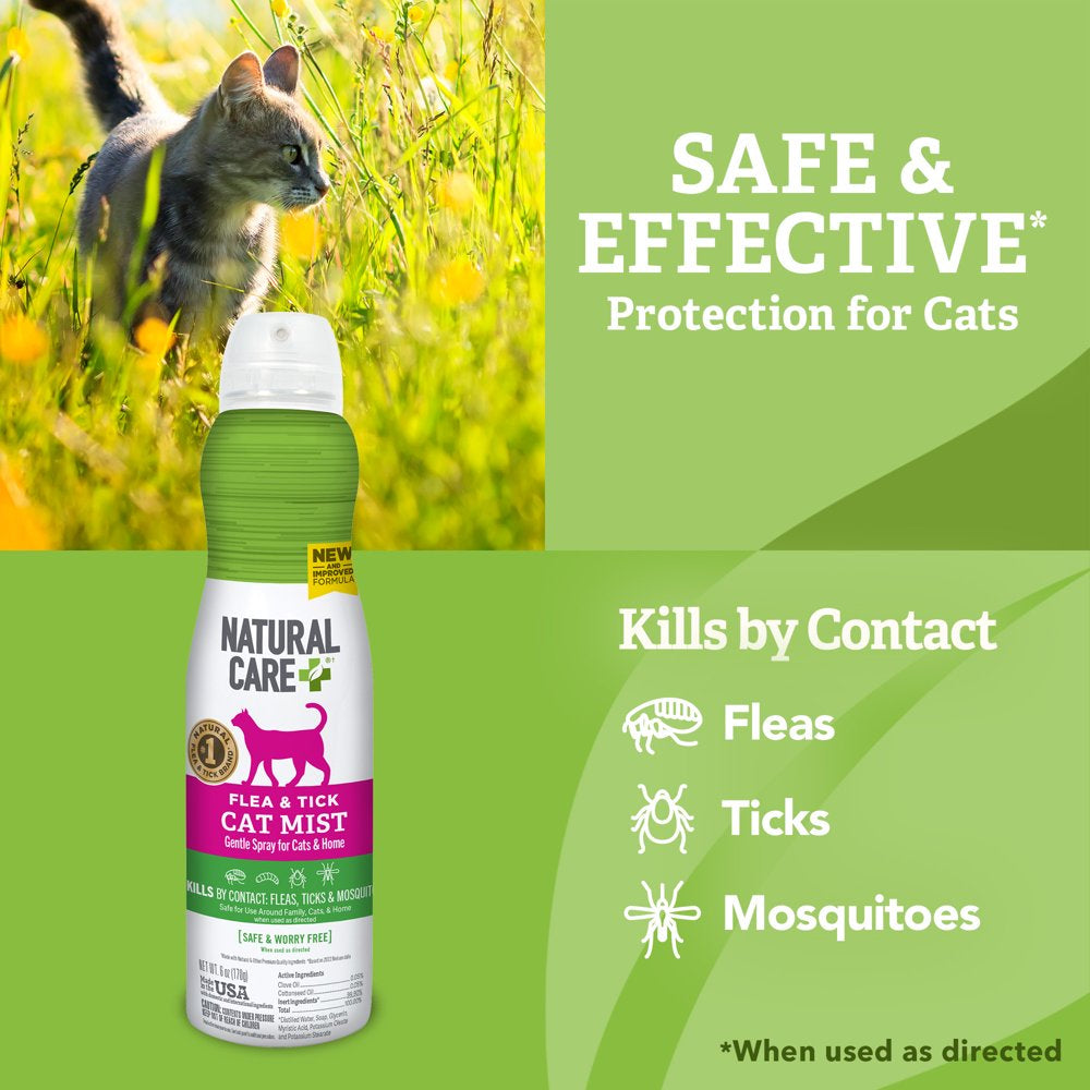 Natural Care Flea & Tick Spray for Cats - Flea & Tick Treatment for Cats - Flea & Tick Killer with Certified Natural Oils - 6 Ounces