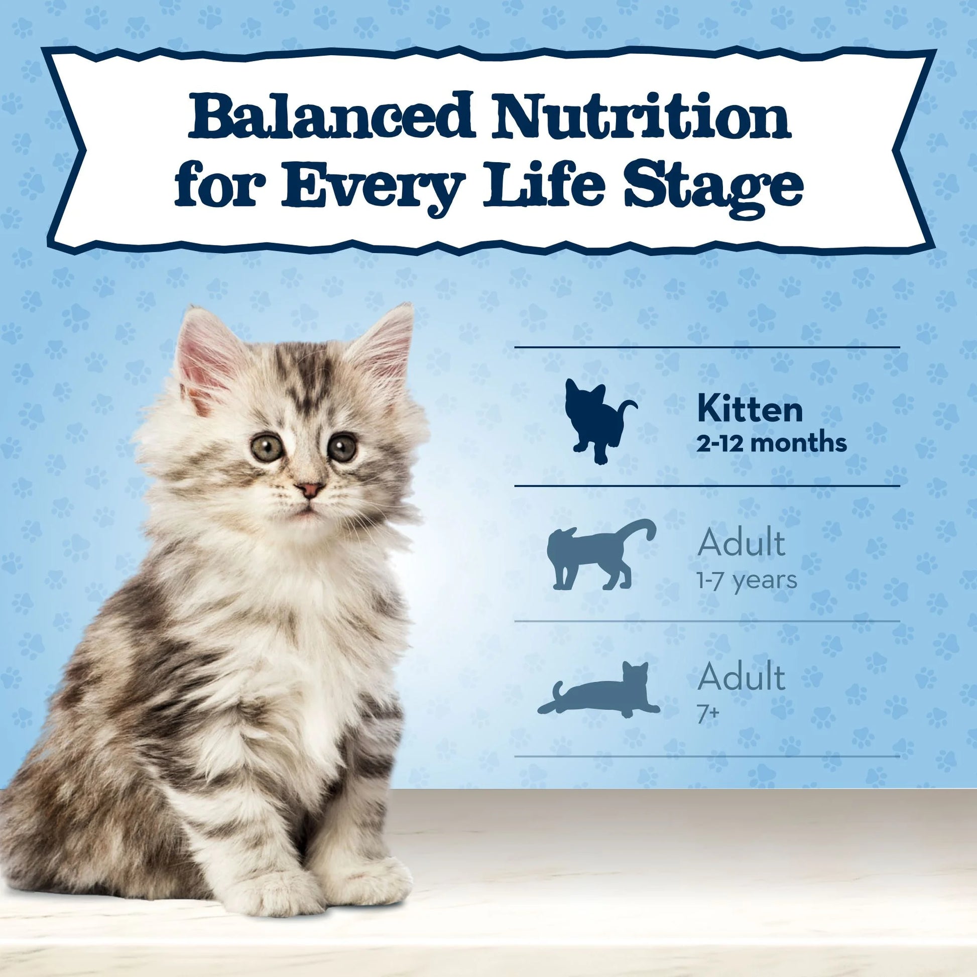 Blue Buffalo Baby BLUE Natural Kitten Dry Cat Food for Healthy Growth, Chicken, 2-Lb. Bag