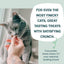 Shameless Pets Crunchy Cat Treats - Catnip N Chill, 2.5 Oz