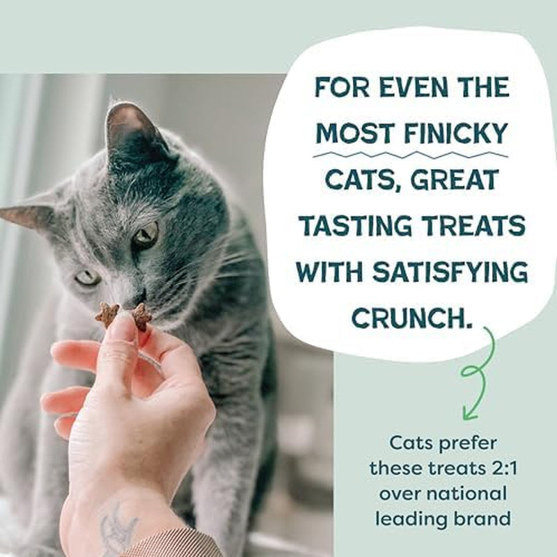 Shameless Pets Crunchy Cat Treats - Catnip N Chill, 2.5 Oz