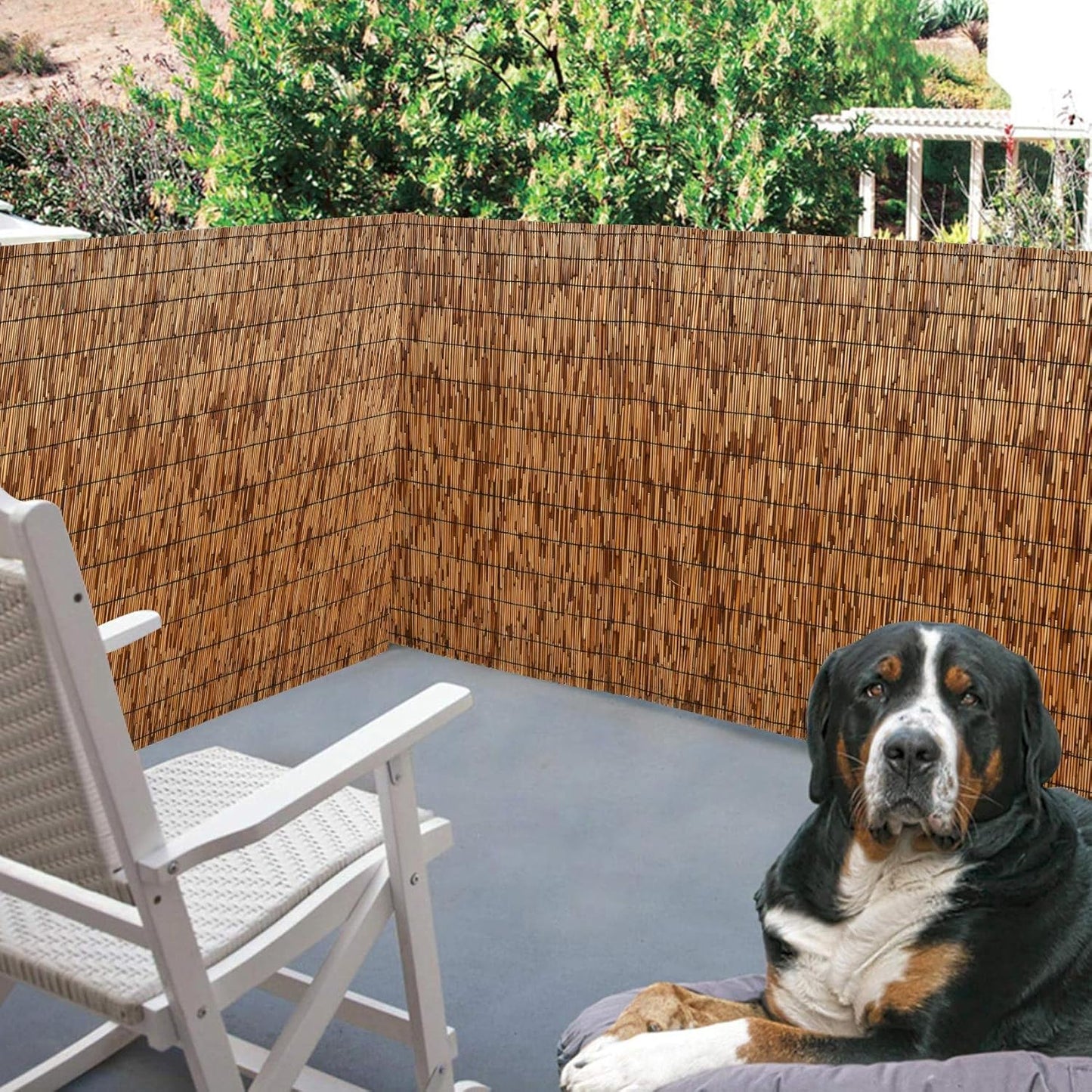 Dearhouse Natural Reed Fencing, Eco-Friendly Reed Fence,5 Feet High X 16.4 Feet Long, Reed Screen for Garden, Privacy Fence