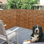 Dearhouse Natural Reed Fencing, Eco-Friendly Reed Fence, 6 Feet High X 13.3 Feet Long, Reed Screen for Garden, Privacy Fence