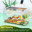 Gecko Tank & Reptile Terrarium Kit with Heat Lamp, Spray Bottle, Tools & Hideout - Perfect Habitat for Lizards, Snakes, Turtles, Hermit Crabs, Frogs, Jumping Spiders 12.5X6X7 Inch