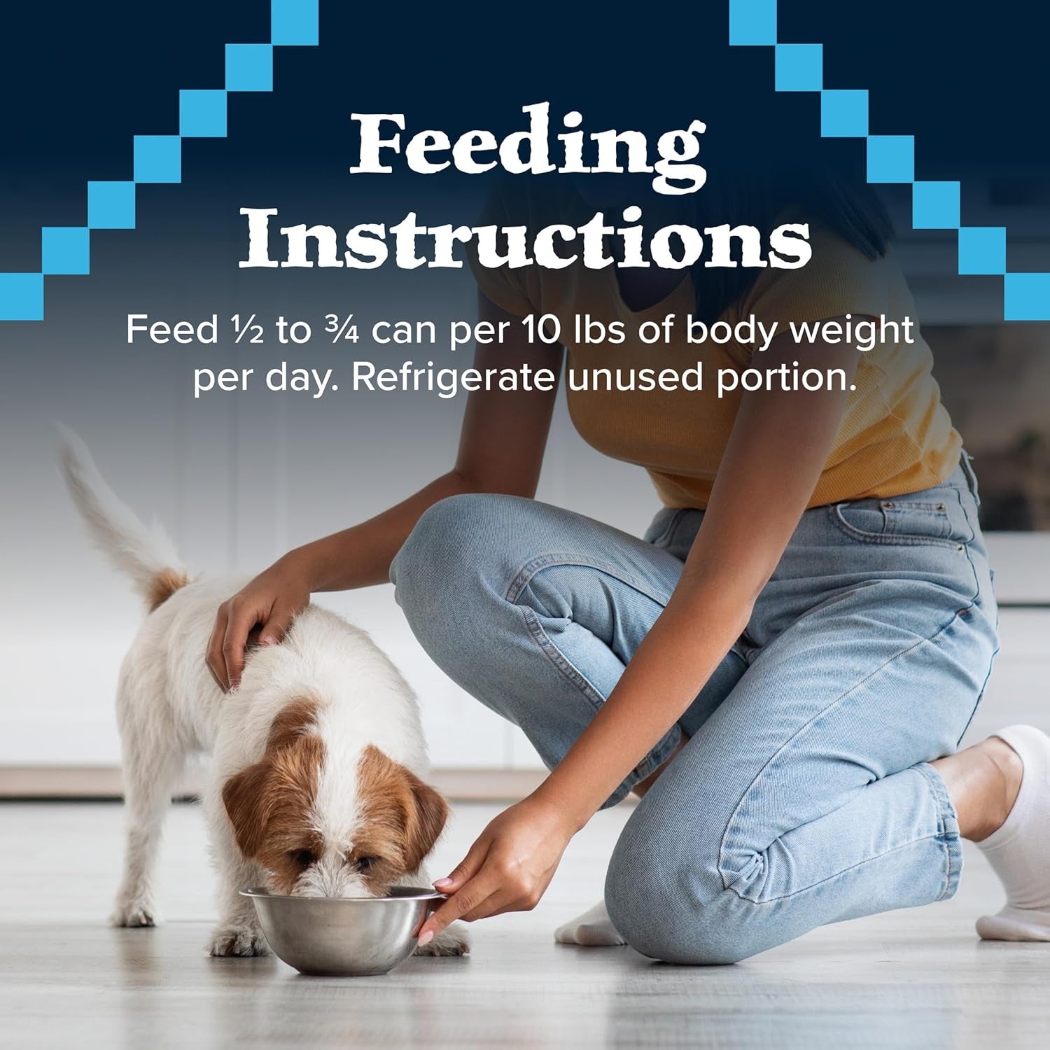 Blue Buffalo Wilderness Adult Wet Dog Food, High-Protein & Grain-Free, Made with Natural Ingredients, Duck & Chicken Grill, 12.5-Oz. Cans, 12 Count