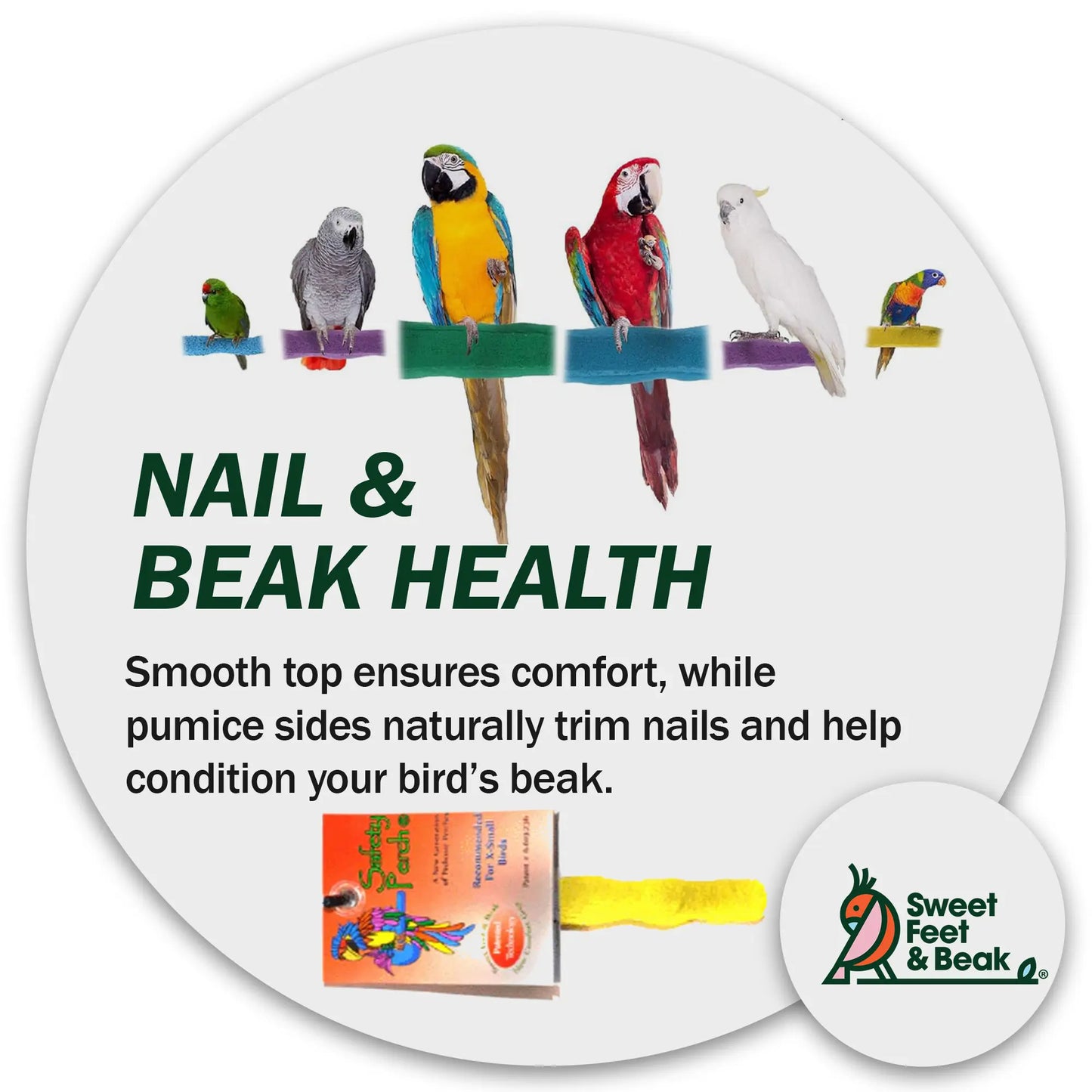 Comfort Grip Safety Perch for Bird Cages - Pedicure Perch for Healthy Nails & Beaks - Easy to Install Bird Cage Accessories - Small, 6.5"