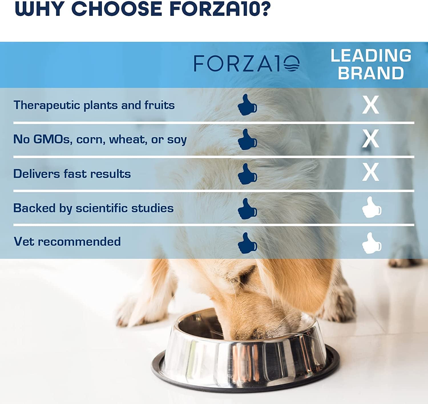 Forza10 - Dog Food, Vet Formulated Wet Dog Food for Kidney Support, Non-Gmo, Lamb Flavor, Made in Italy (3.5 Oz, 32 Pack)