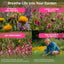 Organo Republic 21 Annual Wildflower Seeds Mix, 100,000+ Non-Gmo Heirloom Wildflower Garden Seeds