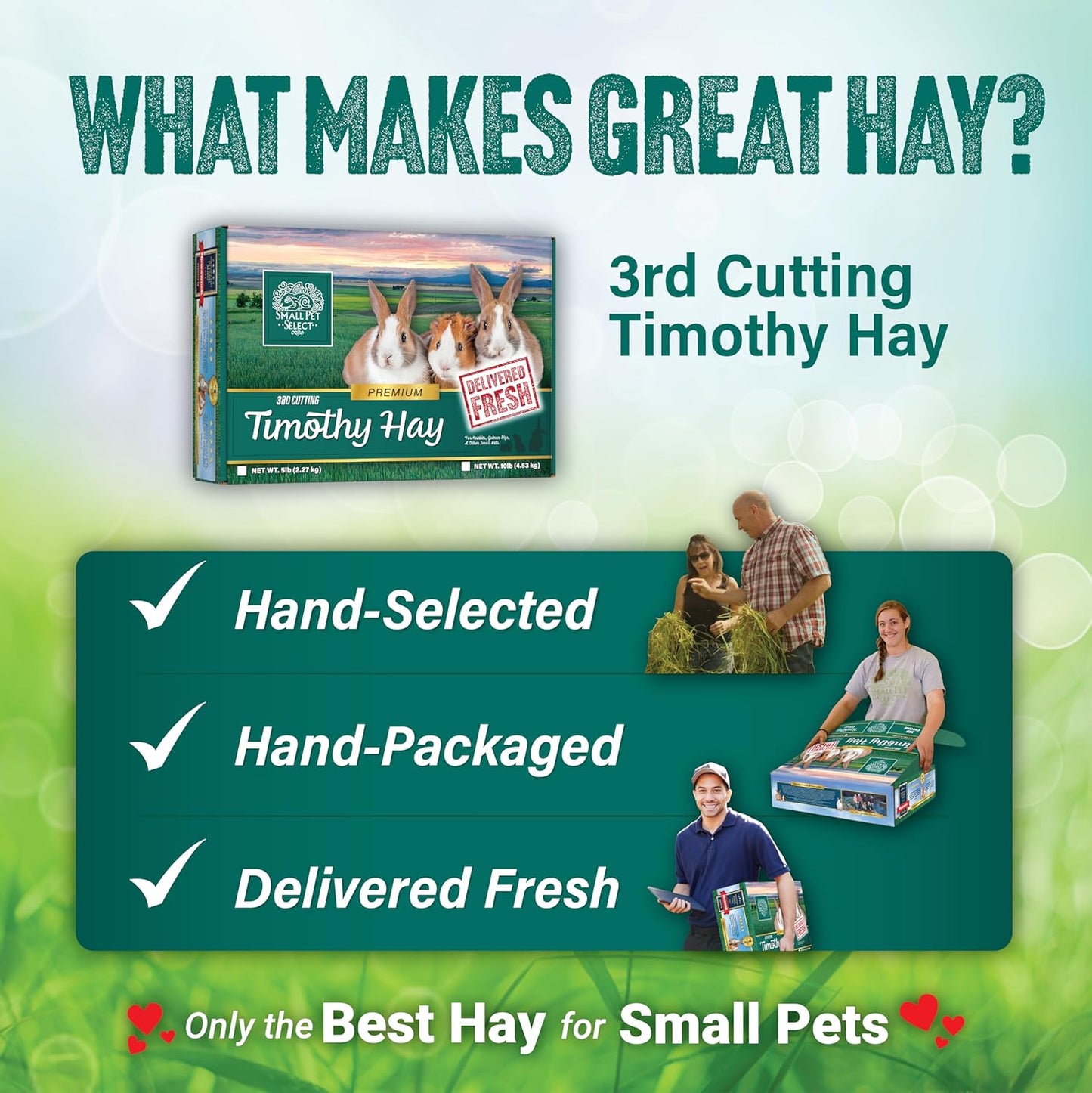 Small Pet Select 3Rd Cutting Super Soft Timothy Hay Pet Food for Picky Eaters, Rabbits, Guinea Pigs, and Other Small Animals, Easy to Store Box, 10 LB