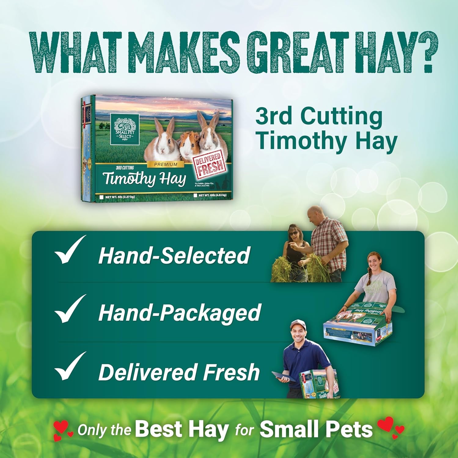 Small Pet Select 3Rd Cutting Super Soft Timothy Hay Pet Food for Picky Eaters, Rabbits, Guinea Pigs, and Other Small Animals, Easy to Store Box, 10 LB