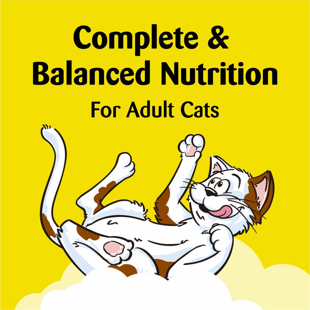 Temptations Classic, Crunchy and Soft Cat Treats, Blissful Catnip Flavor, 16 Oz. Tub