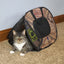 Sportpet Designs Cat Carrier with Zipper Lock- Foldable Travel Cat Carrier, 15"X20"X14", Cats and Kittens
