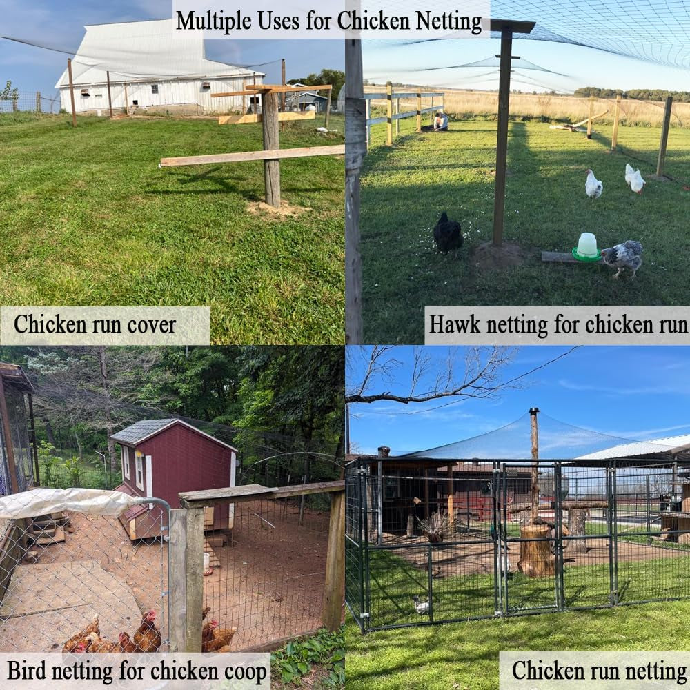 Bird Netting for Chicken Coop 25X50 FT, 1" Chicken Run Cover Net | Woven Coop Netting Roof against Hawk, Eagle, Owls, Bird Netting for Garden, Fruit Trees, Plants, Vegetables Protection