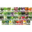 Bug Out Bag Seed Kit: 105 Varieties of Survival Seeds, Herbs, and Wildflowers Seed Starter Kit Home Planting Survival Vegetable Seed