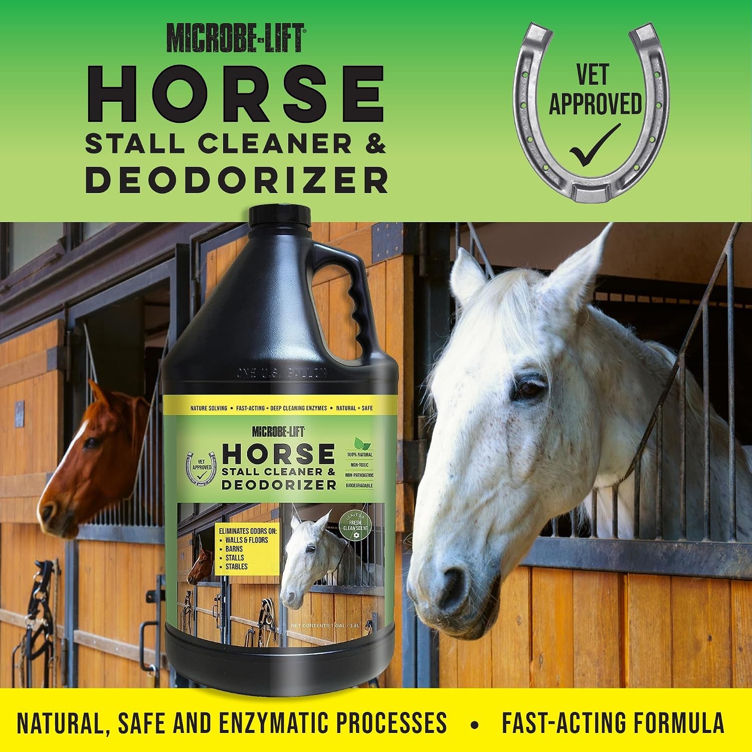 MICROBE-LIFT Horse Stall Cleaner and Deodorizer for Use in Stables, Barns, Use on All Surfaces and Supplies, Highly Concentrated and Safe Formula, Fresh Clean Scent, 1 Gallon