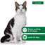 Advantage Topical Flea Prevention for Large Cats 9 Lbs+, 2-Monthly Treatments