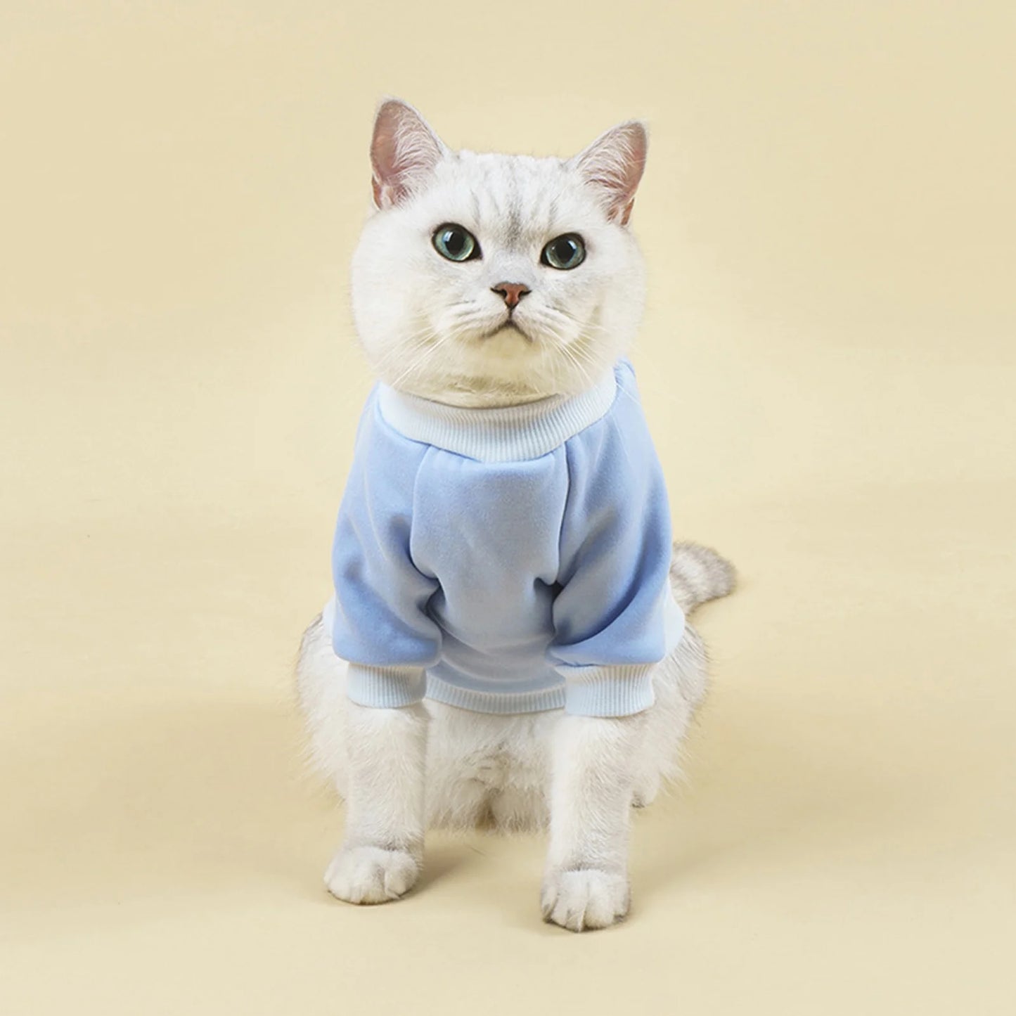 Walbest Dog Sweaters for Small Dogs, Cute Dog Clothes Classic Warm Pet Sweaters for Dogs Girls Boys, Cat Sweater Dog Sweatshirt Winter Coat Apparel for Small Dog Puppy Kitten Cat((Pink, L)