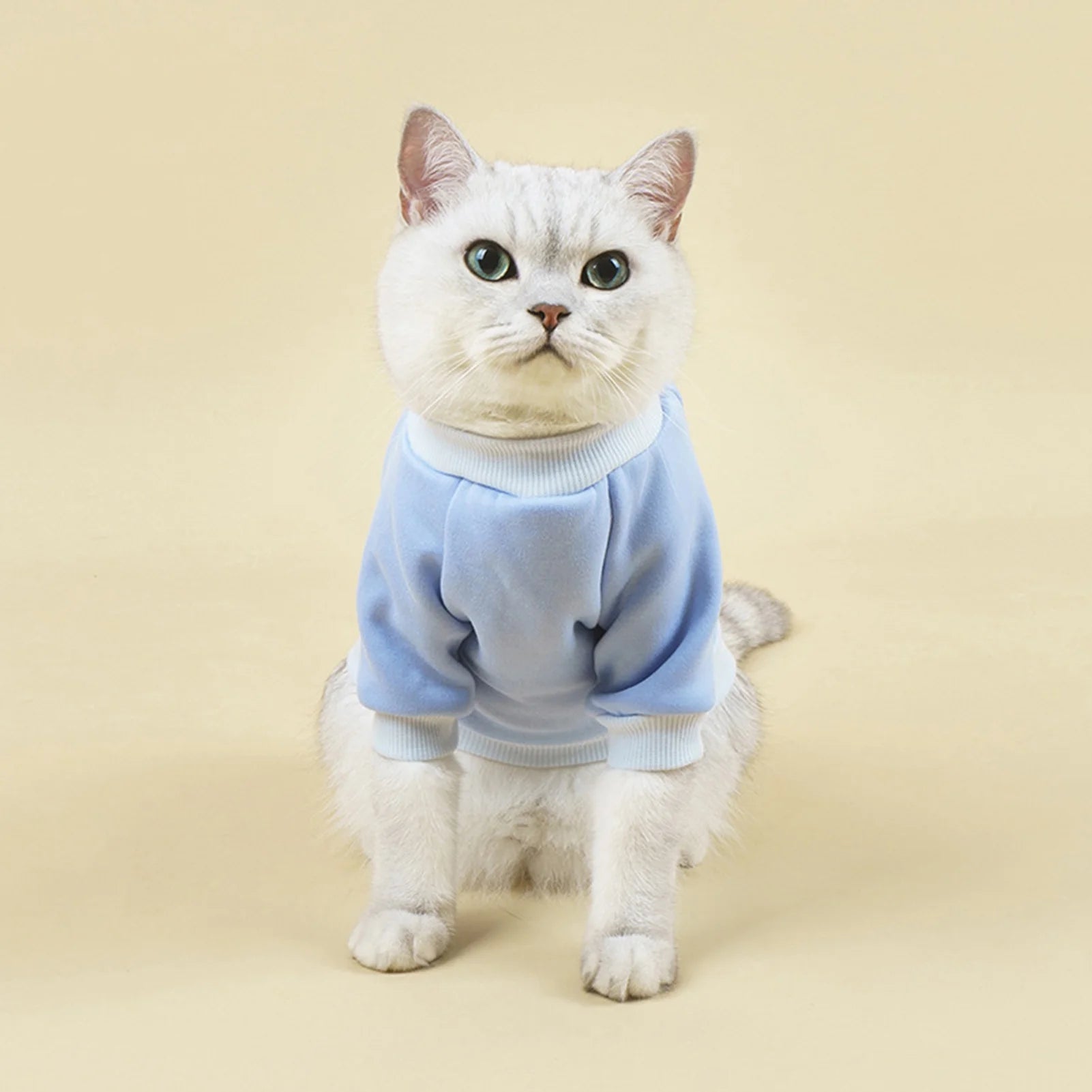 Walbest Dog Sweaters for Small Dogs, Cute Dog Clothes Classic Warm Pet Sweaters for Dogs Girls Boys, Cat Sweater Dog Sweatshirt Winter Coat Apparel for Small Dog Puppy Kitten Cat((Pink, L)