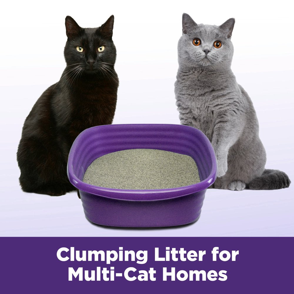 ARM & HAMMER Clump & Seal SLIDE Cat Litter, Easy Clean-Up Multi-Cat Clumping Litter, 38 Lbs