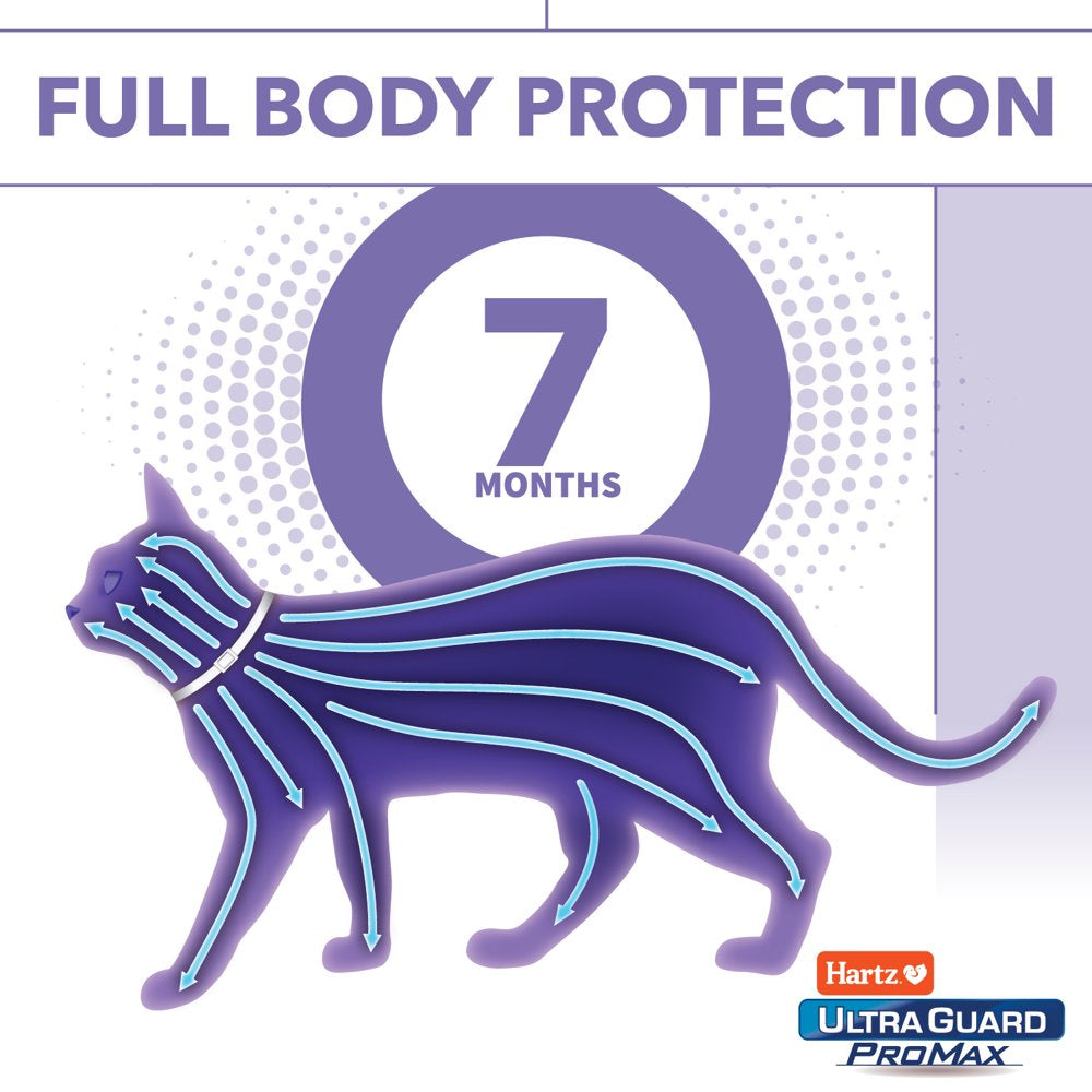 Hartz Ultraguard Pro Reflective Flea and Tick Collar for Cats and Kittens, 7 Months Protection