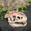 Resin Dinosaur Skull Aquarium Ornament Mini Dinosaur Tank Decoration Betta Fish Small Dinosaur Skull Fish Reptile Tank with Holes Aquarium Landscape Reptile Hideout Caves