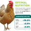 LEACH GRAIN & MILLING CO. Chicken Scratch 5 Lbs, Natural Chicken Treats for Laying Hens - Healthy Whole Grains, Chicken Food and Supplies for Daily Energy, Growth & Digestive Health