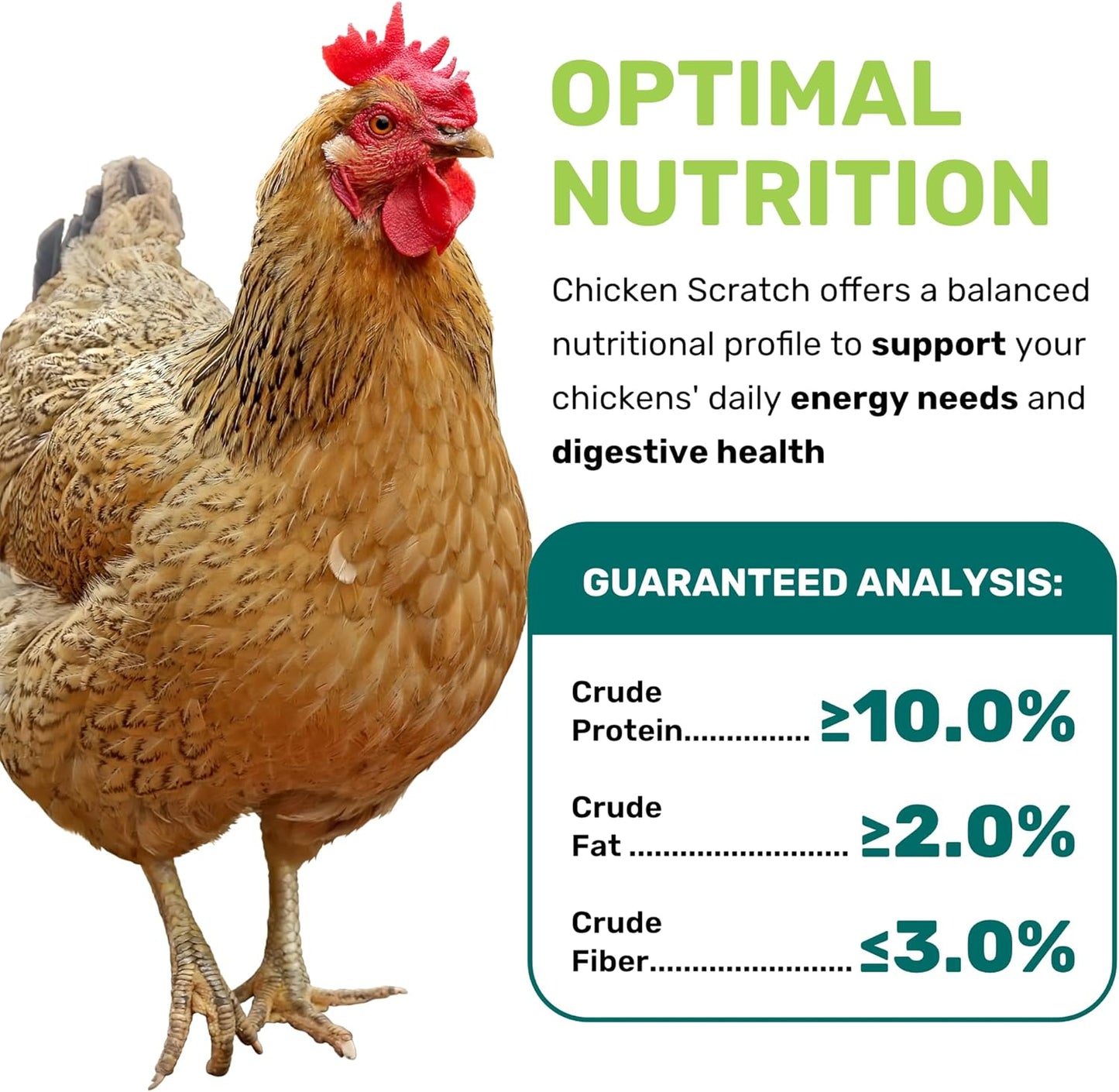 LEACH GRAIN & MILLING CO. Chicken Scratch 5 Lbs, Natural Chicken Treats for Laying Hens - Healthy Whole Grains, Chicken Food and Supplies for Daily Energy, Growth & Digestive Health