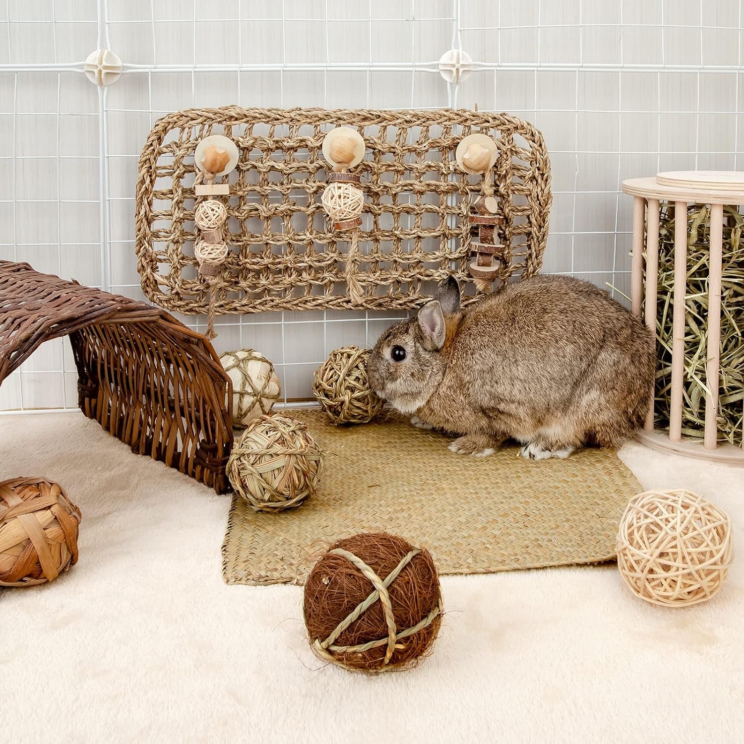 Andwe Small Animals Play & Activity Balls Rolling Chew Toys for Rabbits Guinea Pigs Chinchilla