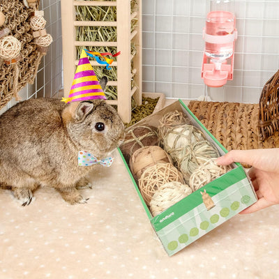 Andwe Small Animals Play & Activity Balls Rolling Chew Toys for Rabbits Guinea Pigs Chinchilla