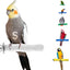 Comfort Grip Safety Perch for Bird Cages - Pedicure Perch for Healthy Nails & Beaks - Easy to Install Bird Cage Accessories - Small, 6.5"