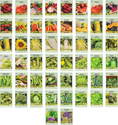 50 Packs Assorted Heirloom Vegetable Seeds 30+ Varieties All Seeds Are Heirloom & Non-Gmo