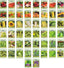 50 Packs Assorted Heirloom Vegetable Seeds 30+ Varieties All Seeds Are Heirloom & Non-Gmo