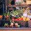 50 Packs Assorted Heirloom Vegetable Seeds 30+ Varieties All Seeds Are Heirloom & Non-Gmo