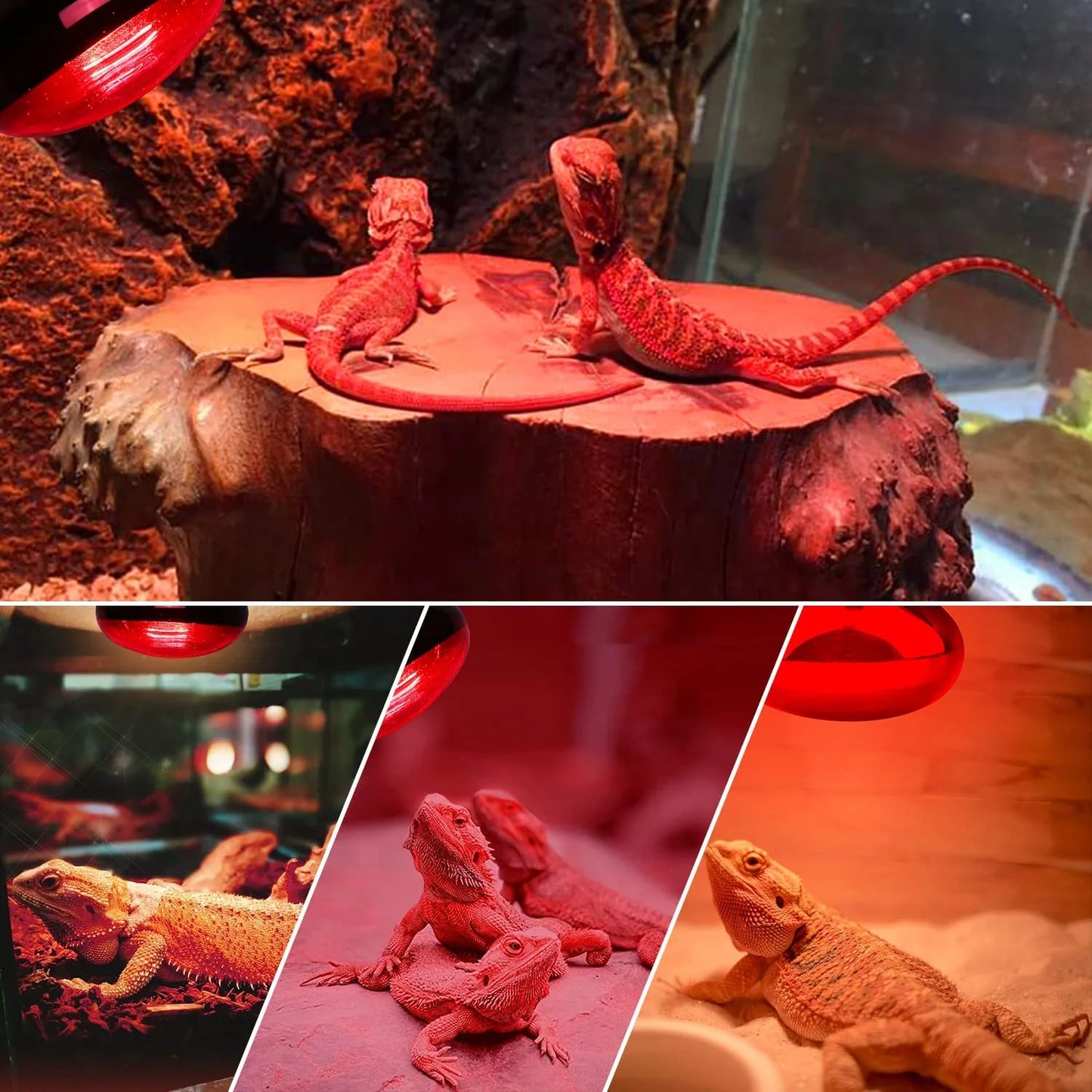 ECOSUB Reptile Heat Lamp 100W, 2Pcs E26 Basking Spot Light, Infrared Heat Lamp, Red