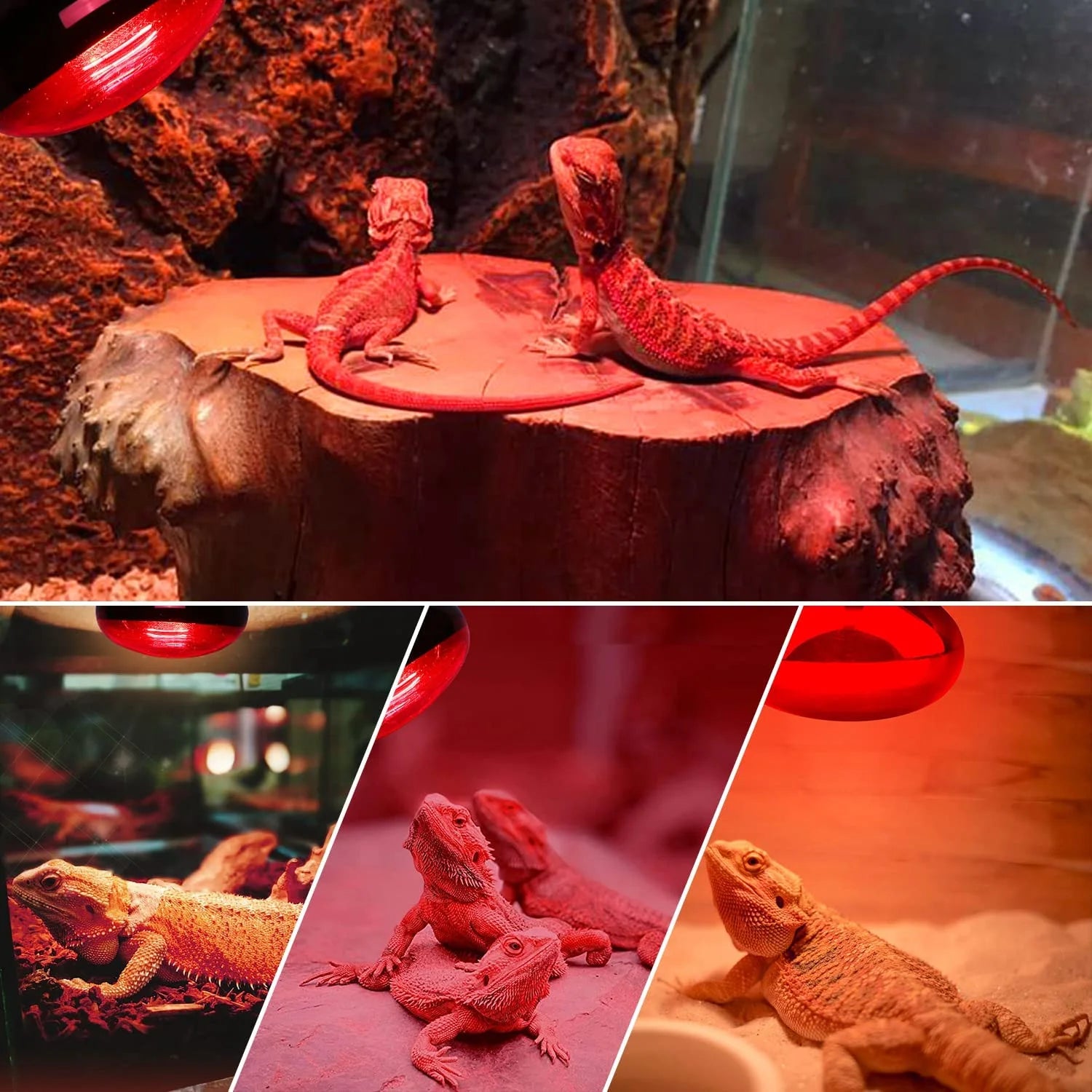 ECOSUB Reptile Heat Lamp 100W, 2Pcs E26 Basking Spot Light, Infrared Heat Lamp, Red