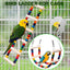 Bird Toys for Parakeets 7Pcs, Wood Parrots Budgie Cage Accessories