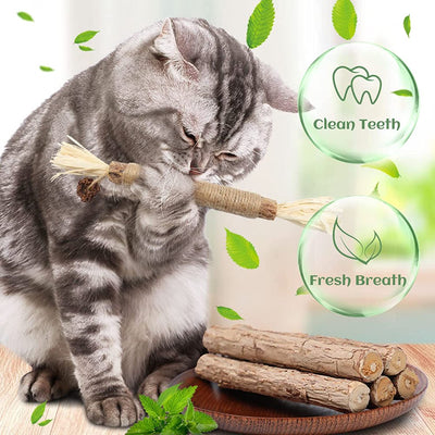 Carkira Catnip 4 Pieces Silver Vine Cat Chew Toys Cats Clean Teeth Chews for Stress Relief
