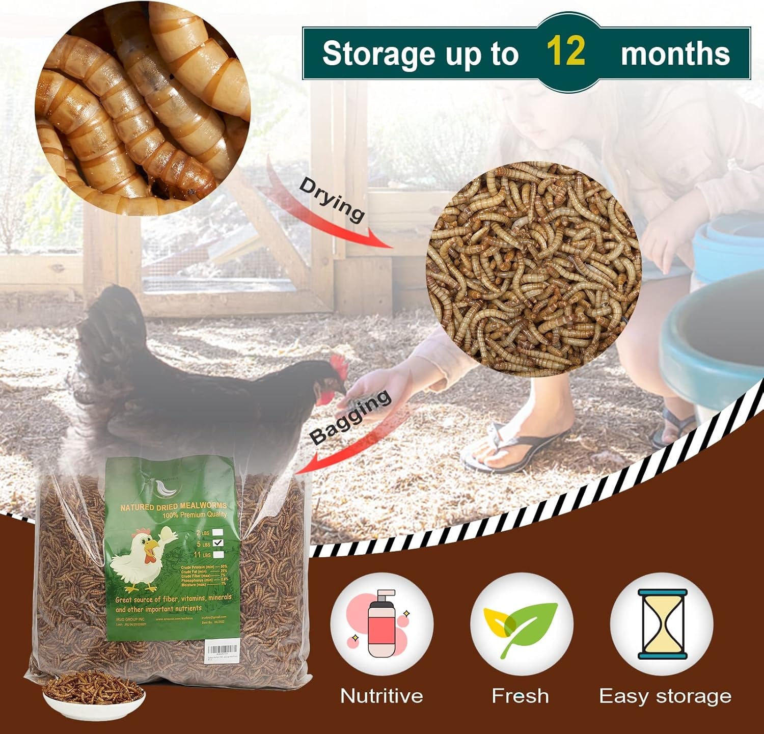 Non-Gmo High-Protein Large Dried Mealworms for Chickens, Natural Grubs and Poultry Treats as Chicken Feed,Duck Food, Wild Birds Seed,Fish Food,Reptile Food,Amphibian Food(Mealworms-2Lb)