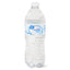 Great Value Purified Drinking Water, 16.9 Fl Oz, 24 Count