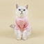 Walbest Dog Sweaters for Small Dogs, Cute Dog Clothes Classic Warm Pet Sweaters for Dogs Girls Boys, Cat Sweater Dog Sweatshirt Winter Coat Apparel for Small Dog Puppy Kitten Cat((Pink, L)
