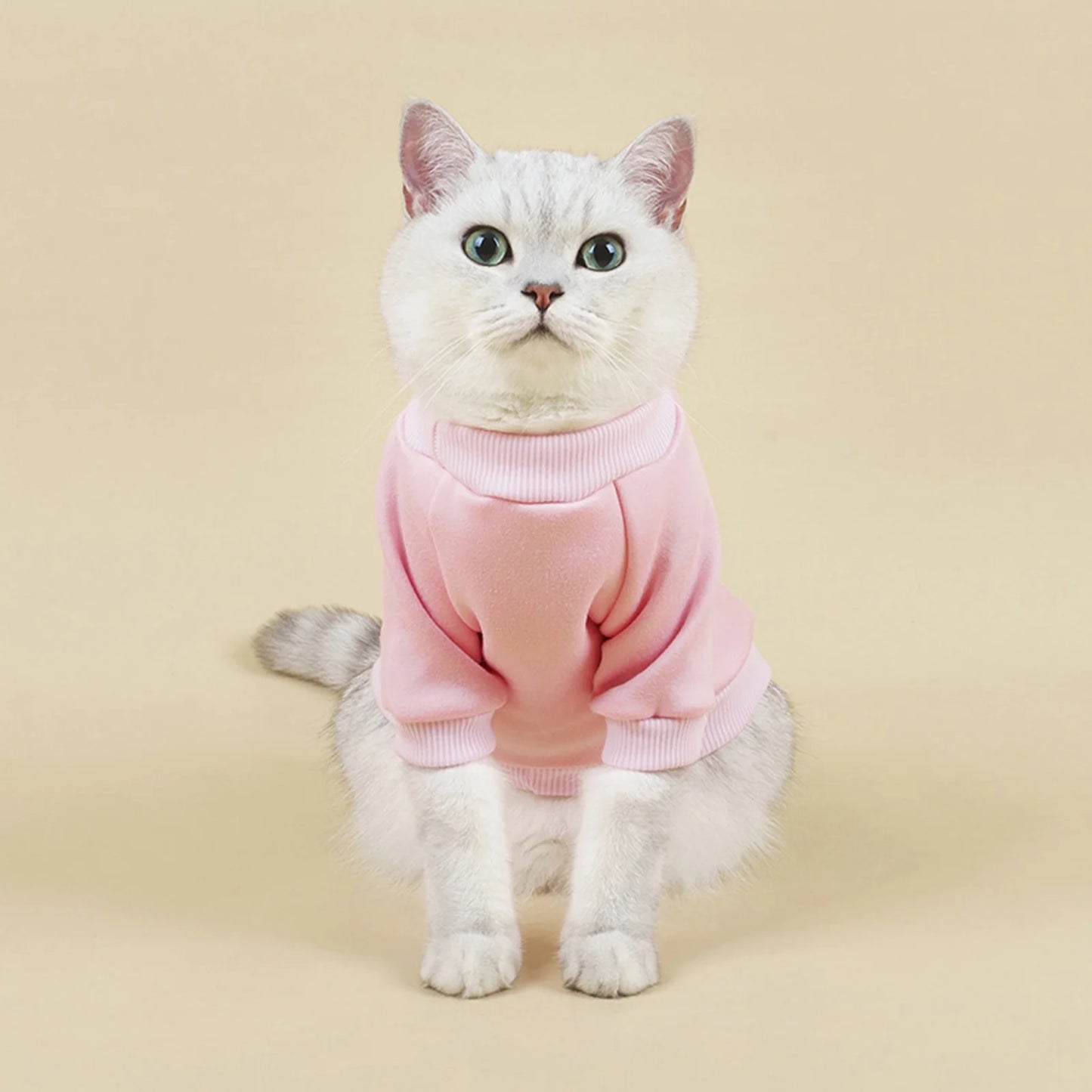 Walbest Dog Sweaters for Small Dogs, Cute Dog Clothes Classic Warm Pet Sweaters for Dogs Girls Boys, Cat Sweater Dog Sweatshirt Winter Coat Apparel for Small Dog Puppy Kitten Cat((Pink, L)