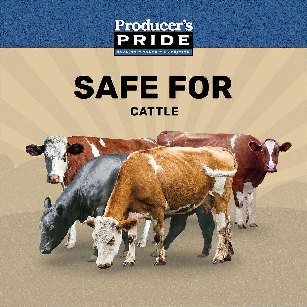 Producer'S Pride 20% Cattle Feed Cubes, 50 Lb.