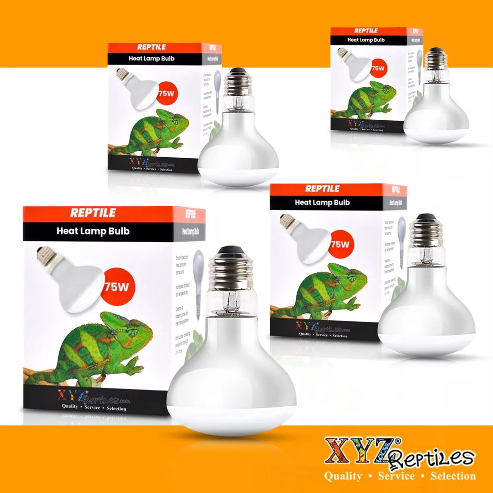 Xyzreptiles 75 Watt Reptile Heat Lamp Bulb