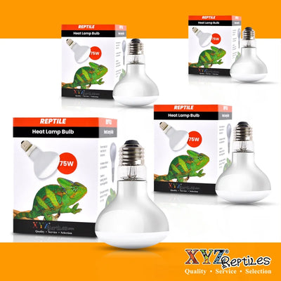 Xyzreptiles 75 Watt Reptile Heat Lamp Bulb