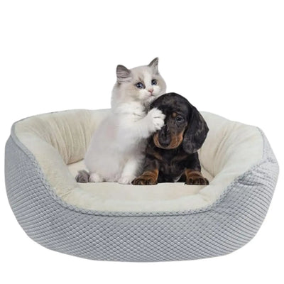 Loyalpaws Orthopedic Pet Bed Medium Memory Foam Bed for Cats and Dogs Washable, Non-Slip Bottom, Orthopedic Designed