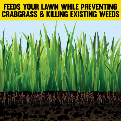 Expert Gardener Weed & Feed plus Crabgrass Control, Lawn Fertilizer 18-0-1, 12 Lb. Prevents Crabgrass up to 5 Months